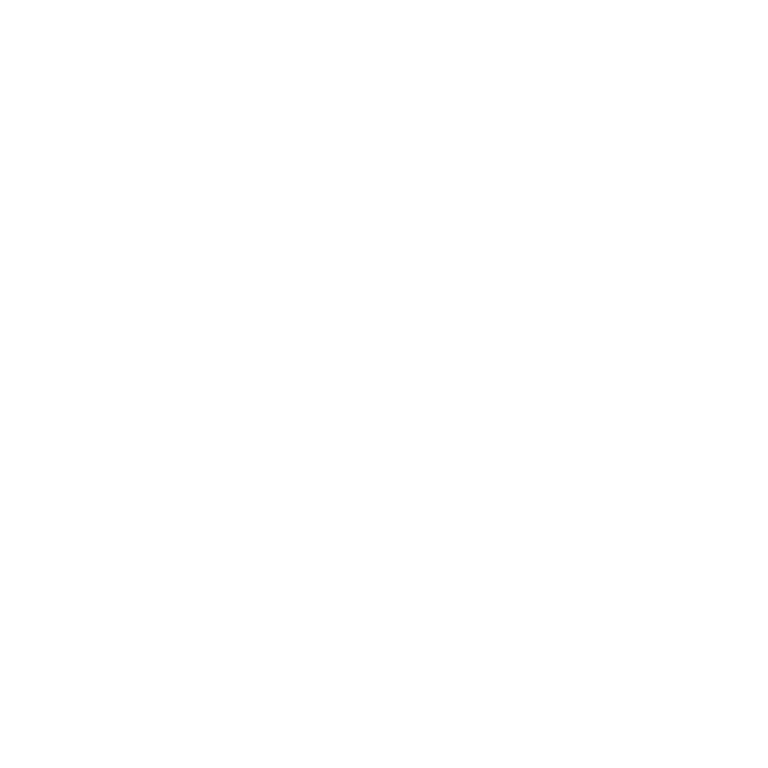 BL Coaching